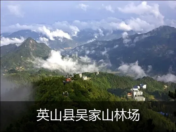 英山县吴家山林场
