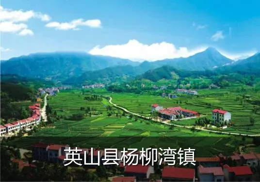 英山县杨柳湾镇